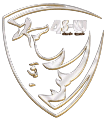 Logo 4s-w